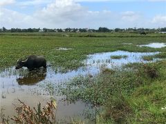 ゴーゴーアジア！インドシナ半島、国境を歩いて渡る旅【9】墓参りでまさかの感動！ホイアン後編/ベトナム