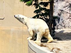 宿題だらけの北海道旅行～３日目～