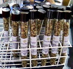 「世界最大のコーヒー展示博」を覗きに、ミナスの州都にVamos!!-3-（ベロホリゾンテ／ミナスジェライス州／ブラジル）