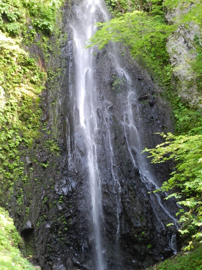 ある日、秘密のケンミンSHOWを見ていると「栃尾の油揚げ」の特集をしていました。<br />油揚げや厚揚げが好物なJOECOOL夫婦は「これは行くしかない！」。<br />ということで、5月のＧＷにJALのおともdeマイルの空き席を見つけ即予約しました。<br />ついでに付近の滝めぐりしようと計画を立て、宿泊は「NASPAニューオータニ」をとりました。<br /><br />《その７》<br />帰る時刻が近づいてきましたが、帰路の飛行機に乗るまでに少し時間があったので、柏崎市（小千谷市との市境近く）にある２つの滝『湯の川大滝』＆『善根の不動滝』を訪れてみることにしました。<br />帰路のJAL便搭乗記も併せてご紹介しま～す！