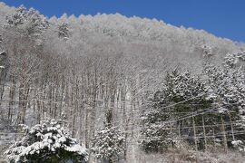 犬なき喪失を癒す旅　②　１０日ぶりの木曽福島スキー　　春スキーとは思えない素晴らしい雪！！パート２