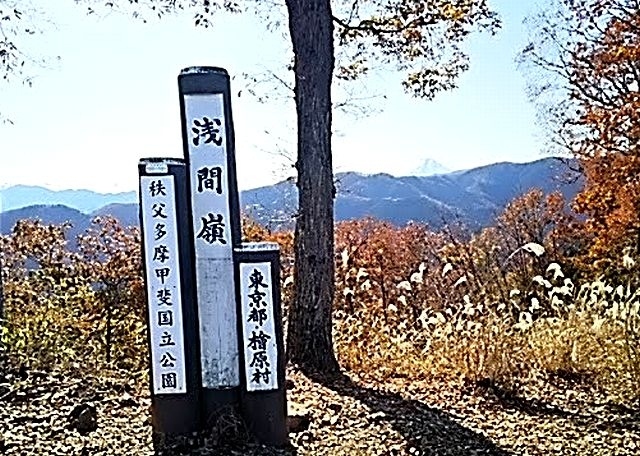 2019年11月30日、「払沢の滝」を見てから、「浅間嶺」の登山をしました。<br />下山後に、「五日市町」の「蛇の湯温泉　たから荘」で日帰り温泉を楽しみました。<br /><br />(このコースの特徴)<br />「払沢の滝」は、東京都で唯一「日本の滝百選」に選ばれている、「美しい滝」である。<br />「浅間嶺」は、東京都檜原村にある山で、標高903mと高尾山より304mも高い山である。<br />山名は「富士浅間神社」があることからとされている。<br />山頂には八重桜が多く、春のサクラの時期が美しい。<br />