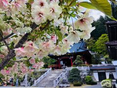 下部温泉・身延山ふたり旅　電車でのんびり春色満載な山梨へ