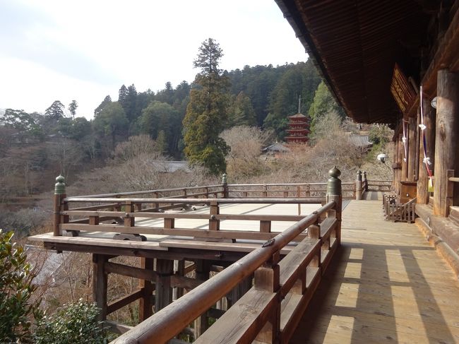 　飛鳥周辺の旅は、ボタンやアジサイで有名な長谷寺から始まり、次に卑弥呼の墓と言われている箸墓古墳と江戸時代の風情を持つ今井町を散策し、最後に橿原神宮を参拝して香芝IC近くのホテルに泊まる。翌日は、７世紀の日本の中心地で、田園風景に古代歴史が残っている飛鳥周辺(謎めいた石造物、岡寺、甘樫丘など)をバスと徒歩で巡り、大阪へ。のんびりとできましたが、車か自転車(できれば電動)があったらいいかなと思いました。<br /><br /><br />