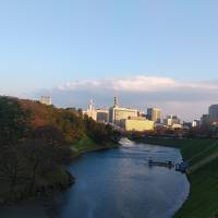 春の気配…皇居周辺の様子。