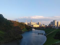 春の気配…皇居周辺の様子。