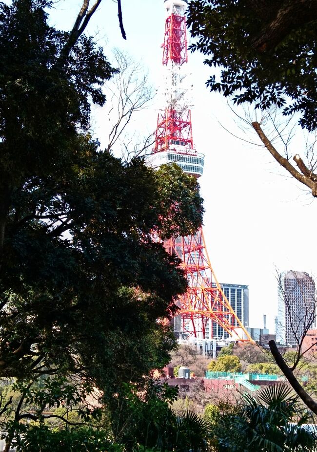 Japan　病院の待ち時間に芝公園へ１