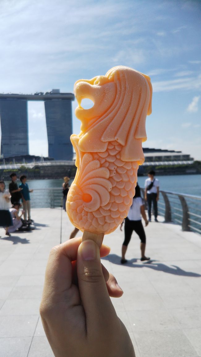 新型コロナ肺炎が騒がれている最中、5日間の日程で、中3の娘と、卒業記念旅行としてシンガポール旅行しました。<br />簡単な半日観光が付いてあとはフリーという日程のツアーで行きました。同じ会社の中国行きとかのツアーはすべてツアー自体が中止になりましたが、シンガポールは特に日本からの入国拒否もなくツアーがキャンセルにもならなかったので、強行しました。<br />私は名古屋からですが、同じツアーの名古屋からの参加者は私たち含めて10人、関空からの参加者も10人以上はいました。意外といるもんだとビックリです!<br />コロナが騒がれていた当初はシンガポールも感染者が増えて、スーパーでの買い占めとかの混乱もあったみたいですが、その後落ち着いたし、シンガポール以外の国での感染者が一気に増えたこともあり、シンガポールはあまり日本でも話題になってなかったので、どんな状態なのかとドキドキでしたが、現地ではマスク姿の人はほとんどおらず(マスク自体が品薄だというのもありますが)、日本のように臨時休業してる観光施設があるわけでもなく、どこに行っても観光客はそれなりにいて賑わってました。白人系、アジア系、アラブ系、色んな人種の観光客で溢れてました。<br />有名な観光地では入り口にサーモグラフィとか置いてたり、ビッとワンタッチするだけで測れる体温計で熱を測られたりしましたが、それで呼び止められてるような人はなく、日本人だからとバッシングされることもなく、いたって普通に平穏に当たり前に観光できてました。<br />ただ、現地にすむ日本人の友達にマーライオン公園で撮った写真を見せたら、いつもより観光客が少ない、と言うので、一応コロナのせいで観光客自体の数は減ってはいるようです。でも、そのお陰でマーライオン公園でも余裕で楽しい写真がゆっくり撮れたし、ユニバでも待ち時間が全然なしでアトラクションがしっかり楽しめました!開園時間が10~17時という驚きの短さですが(元々なのか、コロナのせいで今が一時的にそうなのかは知りませんが)、それでもしっかりほぼ全部のアトラクションに行けましたよ。<br />地下鉄とかでたまにマスクしてる人はいますが、あとは全然です。ショッピングモールも人で大にぎわいですがマスクの人は数える程度。マスクなしで行っても困ることはないでしょう。<br />3月15日23時59分から日本からの入国者にも制限がかかるようになってしまったので、今の時期にシンガポールに行くのは難しそうですが、無事入れたなら、ある意味今はどこも空いてて、観光するにはラッキーな時期と言えます。<br />各観光施設への入場は、ネットで入場券購入するのが断然お得です!必ず窓口価格より安いし、何より窓口で並ばず入れます。施設の入り口に来て、その場で検索して券を見つけてネットで決済しても、すぐにチケットバウチャーが発行される(メールが届く)から心配ありません。<br />インフラも整ってるし、水も飲めるし、トイレも普通に流せるから心配ないし、英語あればどこでも通じるし、電車も遅くまで動いてるし(しかも遅い時間でも本数多い!)、旅行中に困ることは全然なかったです。ただ、MRTの切符購入の機械はカードで払えず現金のみなんですが、札は2ドルと5ドル札しか使えず、よく持ってた10ドル札が使えないのが困りました。そのくせ近くに両替機があるわけでもなく、近くにコンビニとかもないし、駅の人に「どうすればよい?」 と聞いても「ごめんね」といわれるだけで解決策なし!あれには参りました。MRT乗る機会があって現金で切符を購入するつもりなら、事前に札を細かくしておくのをオススメします。