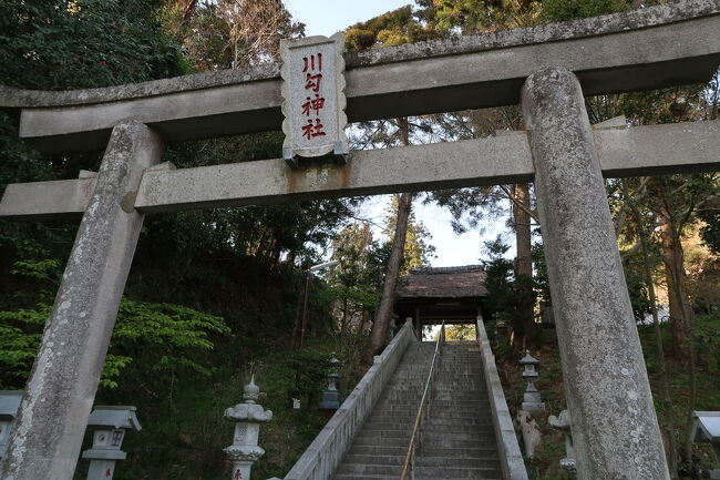 タイトルそのまんま、相模国の一の宮から五の宮まで全部行ってみました。<br /><br />一宮といえば全国どこでも名の知れた神社ですが<br />、それに比べて二宮以下の存在感はちょっと寂しいところ。そんななか相模国では、五宮まで割と近いところに固まってるんですね。すなわち、<br /><br />一の宮：寒川神社(寒川町)<br />二の宮：川勾神社(二宮町)<br />三の宮：比々多神社(伊勢原市)<br />四の宮：前鳥神社(平塚市)<br />五の宮：平塚八幡宮(平塚市)<br /><br />なお、車なら十分に1日でまわれると思いますが、今回は電車バスで、2回に分けています。(“1日で“とは言っていないので悪しからず…)<br />1回目は「緊急事態宣言」なんて言葉が世の中に飛び出すちょっと前のことでしたから、結局1年半かかってしまったのはご愛嬌