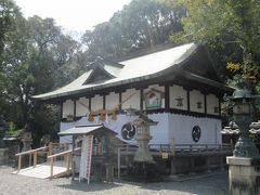 春めく熊野三山お参りの旅（１）