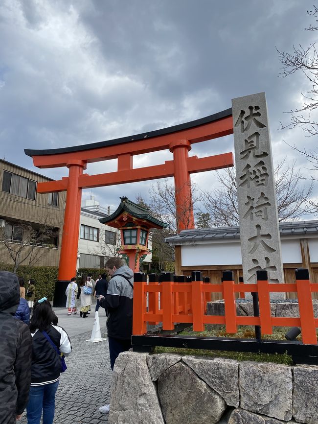 京都への旅行は去年から計画を立てていて、とても楽しみにしていました。<br />しかし、只今コロナ流行中....三人で行くはずが、一人は子供たちにお願いされてキャンセル。とっても残念だったのですが、のこり二人で行っちゃいました。私のお連れさんはナースなので除菌ジェルやマスクなどいろいろ万全に用意してくれました。ほんまに助かりました。<br />さて、私たちは茨城空港から神戸空港に向かい、それから京都へ向かいました。まず始めは伏見稲荷大社。豊川と笠間は行ったことがありますが、伏見稲荷はお初でした。日曜日ということもあってか、思ったよりたくさんの方たちが参拝に見えていました。卒業旅行なのか学生さんたちがたくさん訪れていました。おもかる石というのがあるのですが、これはもともとは灯篭の擬宝珠でそれをもちあげることである占いができるそうです。持ち上げた時に石の重さが「軽い」と感じれば「願い事が叶う日が近い」<br />思ったよりも重ければ「願い事が叶う日が遠い」ということなんですが、とにかく重い...奥社で参拝をして千本鳥居をくぐり参道を通り後にしました。伏見稲荷駅では生姜稲荷を買って食べました。<br />次は三十三間堂。ここは確か中学生の時、修学旅行で訪れた以来です。千手観音菩薩坐像、風神・雷神像、眷属(けんぞく=従者)の二十八部衆像、そして千手観音立像1001体と合わせて、その数1032体。ただただ圧巻です。大きな千手観音像にしばらく魅せられていました。<br />近くに京都国立博物館があり、フレンチルネサンス様式の建物に魅せられパチリ。現在はコロナウィルスのため閉館中。<br />そのほど近くに豊国神社があり、豊臣秀吉を祀っています。<br />そのあとは四条、祇園などをめぐり八坂神社へ参拝。ここは疫病よけ祈願に千年以上の歴史がある神社で茅の輪くぐりが今できます。御祭神である素戔嗚尊が、蘇民将来からもてなされたお礼に「世に疫病流行すれば、蘇民将来の子孫といい、茅の輪をつけておれば免れさせる」と約束したそうです。たくさんの人が茅の輪をくぐっていました。私は茅の輪のお守りを代わりに買いました。ほんと、厄介な疫病は早く収束してほしいです。<br />最後は錦市場で食べ歩きをして、ホテルに戻りました。<br />もう、足がパンパン!<br />