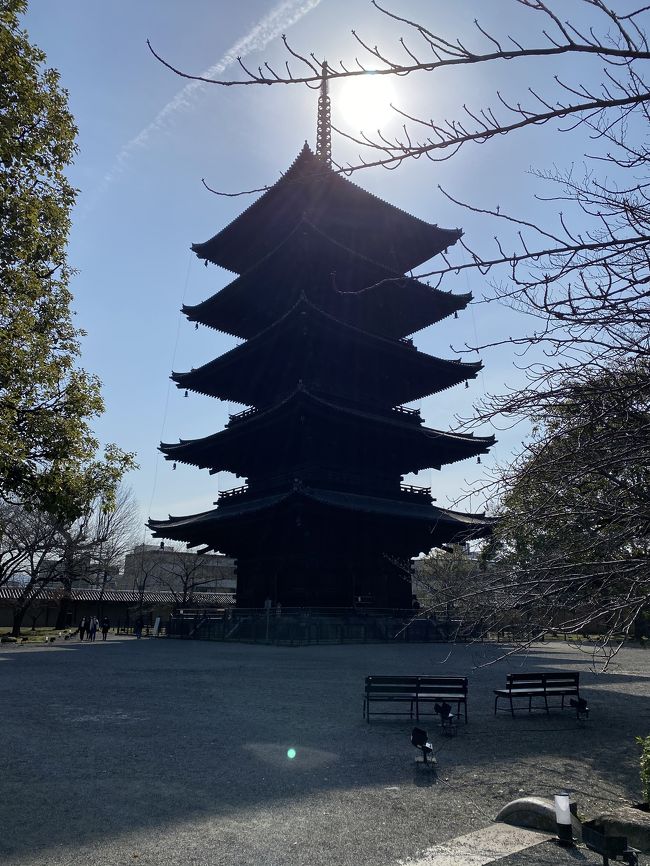 三日目<br /><br />晴れました。まずは東寺で参拝。残念ながら不二桜を見るにはまだ早すぎましたが、すばらしい仏像様たちをお参りできたのはよかったです。体のあちこちにガタが来てるので、薬師如来様に力を借りてお守りを購入しました。よくなるといいな。<br />そのあとは京都駅まで行く途中のイオンに寄って京のもの物色。ドライ九条ネギと生湯葉、京あげなどを買いました。その後家で生湯葉は小松菜と煮びたしにし、京あげは卵とじと袋にチーズをいれて焼いて食べました。おあげは弾力があってもちもちしていてとてもおいしい！それに安いです！<br />京都駅からは三宮に向かい神戸へ。神戸では北野にあるルパンというパン屋さんに寄って、ぶらぶらして、疲れたので、神戸では人気のあるアラカンパーニュというタルト屋さんでお茶しました。タルトもおいしそうだったけど、カップに入ったイチゴのティラミスにしました。帰りはカップをお土産にくれました。そのあとは神戸空港へ行き、茨城空港より帰宅しました。<br /><br />三日間の感想。<br />　正直コロナに感染したらどうしようという不安はありました。しかし京都という神々に守られた街ならきっと大丈夫とたくさんお参りしました。<br />天気はちょっと寒くていけない場所もできてしまい残念でしたが、また行く楽しみができました。<br />実は帰宅後風邪をひいてしまい、仕事がやすめずしんどかったです。それにひざの痛みもぜんぜん治らず。ちょっと無理したかな。春先は毎年体調を崩しやすいので...でも結果的には行ってよかったです。これからご利益があることを期待しています。コロナ収束も！！