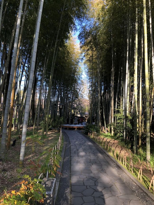 伊豆山神社、走り湯、来宮神社を観光してから、中伊豆に移動。<br />韮山反射炉、蛭ヶ島（ひるがしま）、韮山城址、江川邸、願成就院を<br />レンタサイクルでまわり、その後、伊豆箱根鉄道　駿豆線で修善寺に移動。<br />修善寺は駅と観光地が離れているものの、観光スポットは密集しており<br />抹茶あんみつを食べてから、独鈷の湯、修禅寺、日枝神社、竹林の小径を観光。<br /><br />修善寺は観光時間を調整しやすい観光地かもしれない。<br />じっくり時間をかけて楽しむこともできれば<br />さくっと立ち寄って帰るのもアリ。<br /><br />