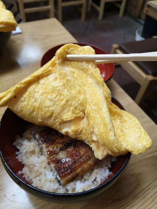 春を感じに京都へ~