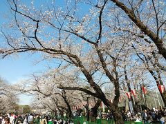 東京２０２０桜　【２】上野公園