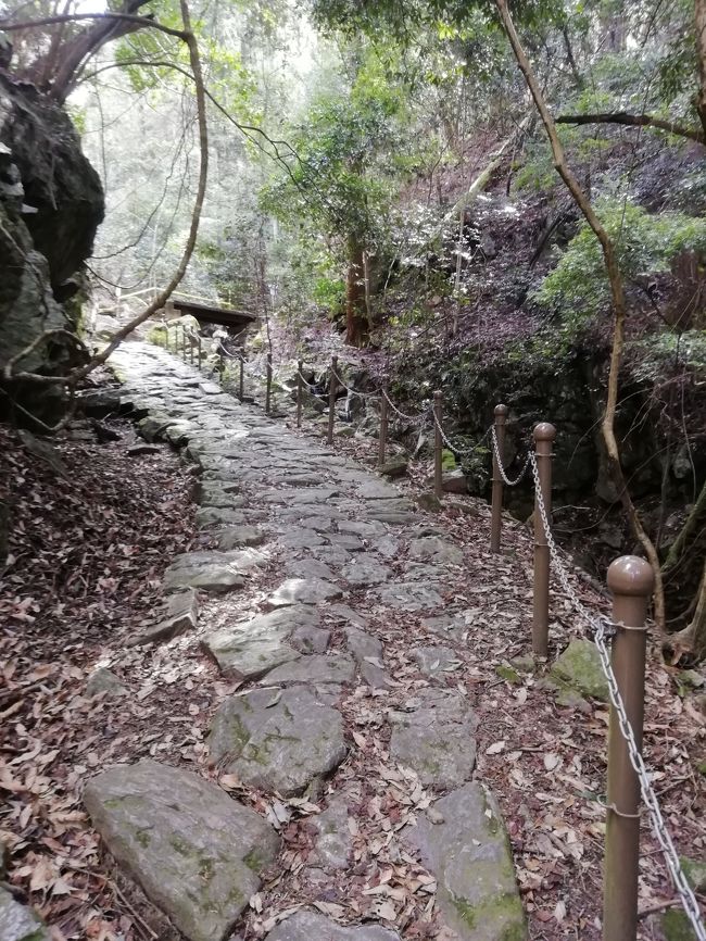 柳生街道は春日山と高円山の谷あいの道を通り奈良市市街地から柳生まで通じる古道です。<br />平安時代から鎌倉時代にかけて南都七大寺の僧達の修行の場でした。<br /><br />今から約300年前柳生新陰流が興されて以来、柳生の里には柳生街道を通り「柳生の剣」を求める武士や、柳生からマキや炭等の行商の人達が行き交ったそうです。<br /><br />柳生街道は奈良市内から忍辱山までの滝坂の道１３㎞と<br />忍辱山から剣豪の里柳生までの９kmの剣豪の道へと続いています。<br /><br />一気に歩くのは少しきついので今回は滝坂の道だけ歩きました。<br />川のせせらぎと木々のざわめきを聞きながら。<br /><br />滝坂の道入り口から柳生入り口忍辱山まで１３ｋｍ。22000歩でした。<br />忍辱山（円成寺）から奈良市内までバスで３０分です。<br /><br />柳生に着いてから奈良市内に戻るバスの便が非常に少ないので帰りのバスの時刻表を十分確認しておくことが大事です。<br /><br />逆コースで奈良駅から忍辱山迄行き奈良市内循環バス破石町迄下りてくると<br />バスは10分も待たずに来ますが、奈良から忍辱山に行くバスもとても少ないです。<br />JR奈良駅、近鉄奈良駅から忍辱山に行くバスも以下の通り。<br />JR奈良駅発　   7:24、 9:11、11:40、12:45、16:24 、17:17<br />近鉄奈良駅発　7:31 、9:19 、11:48、12:53、16:32、17:25<br />