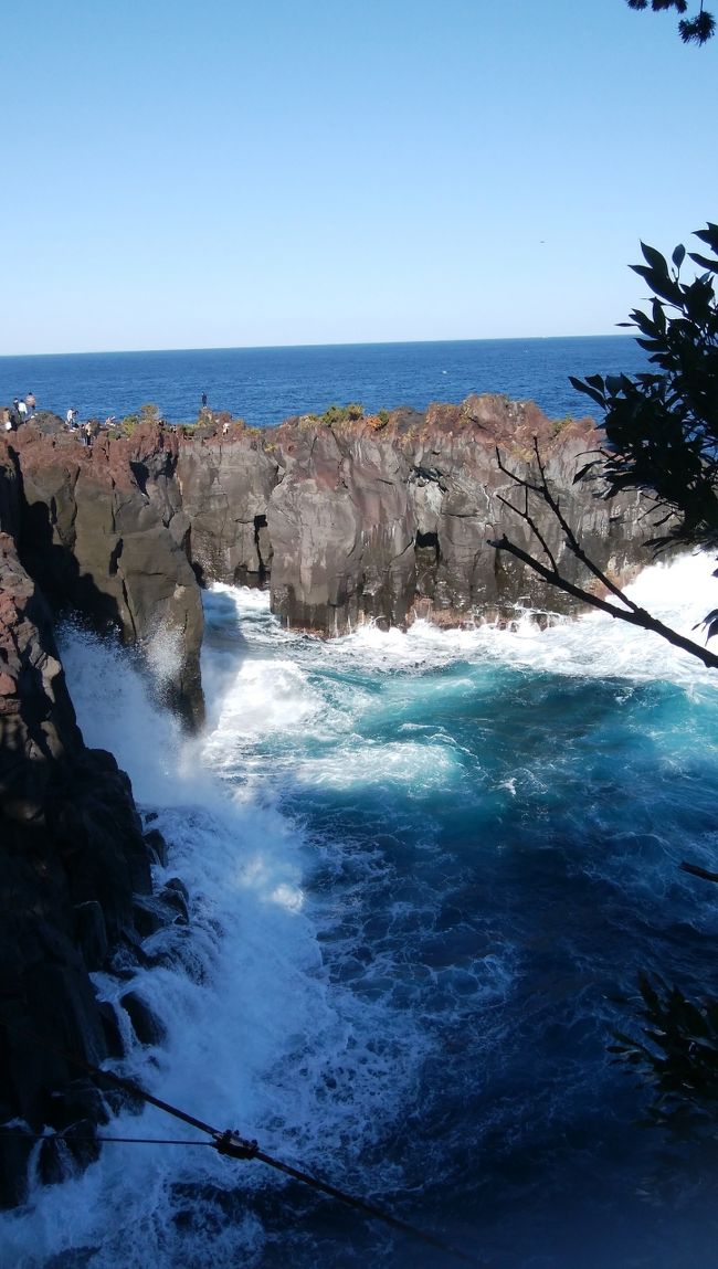 流行病のまん延で塞ぎがちの日本列島、車で家族旅行なら…屋外の観光施設なら…危険度は下がるかなと思い立ち、免許を取った娘の運転で伊豆高原へGo！お天気に恵まれ、露天風呂付き離れ客室でちょっと贅沢。大満足の旅でした。