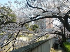 東京２０２０桜　【４】神田川（法明寺～早稲田～江戸川橋）