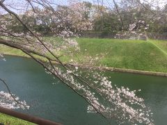 千鳥ヶ淵の静かな桜、新しい原宿、高輪ゲ