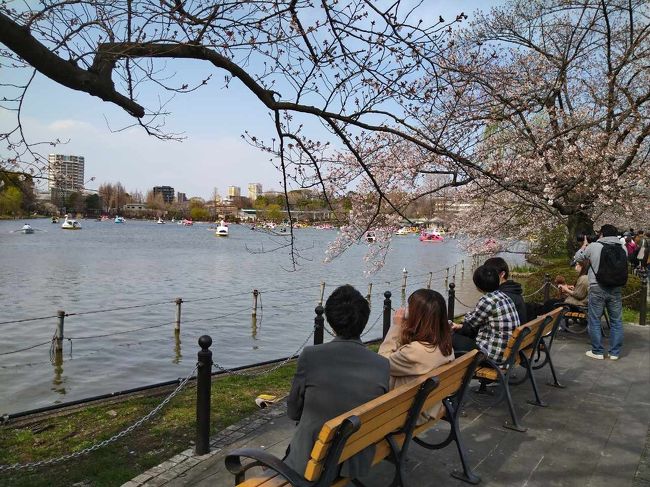 桜が満開となった上野公園を散歩してきました。<br /><br />人はたくさんいましたが<br />中国人観光客がいないとこうも静かなのだと<br />本来の姿（？）を、改めて感じさせられました。