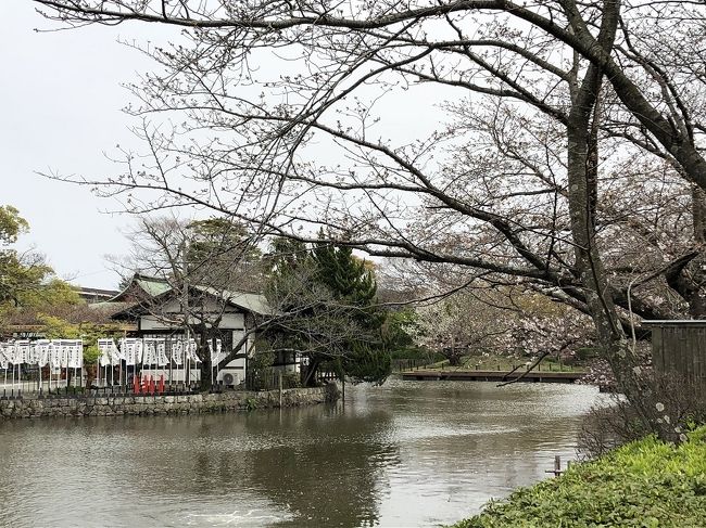 カレンダーの3連休の3日目、鎌倉へお花見に行きました。<br />北鎌倉駅から鎌倉街道を歩き、建長寺、鶴岡八幡宮によって鎌倉駅へ。<br />さらに、由比ガ浜大通りを歩き長谷寺。そして成就院、極楽寺と回り、江ノ電の極楽寺駅へ。<br />全体として一分咲きくらいの寂しい花見でしたが、咲いている桜を探しながら、5キロの散策を楽しみました。