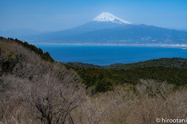 コロナウィルスの影響で、春の三連休で予定していた活動が全てキャンセル。三連休の週の頭で、どこに行こうか迷った末、伊豆に出かけることにしました。河津桜は終わっており、ソメイヨシノにはまだ早い中途半端なタイミング。<br /><br />2日目は、中伊豆の修善寺経由で、西伊豆の富士山ビューコースを周りました。天気はよかったのですが、午後からは風が強く、そのせいか富士山が霞んでいたのが残念です。