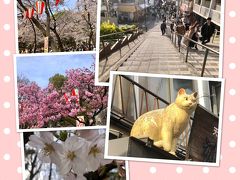 ぶらり東京その②　上野公園ので桜を見てから谷中銀座をぶらりする。