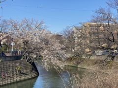 2020.3 横浜トリップ☆大岡川～野毛まで☆