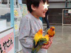 浜名湖と掛川花鳥園