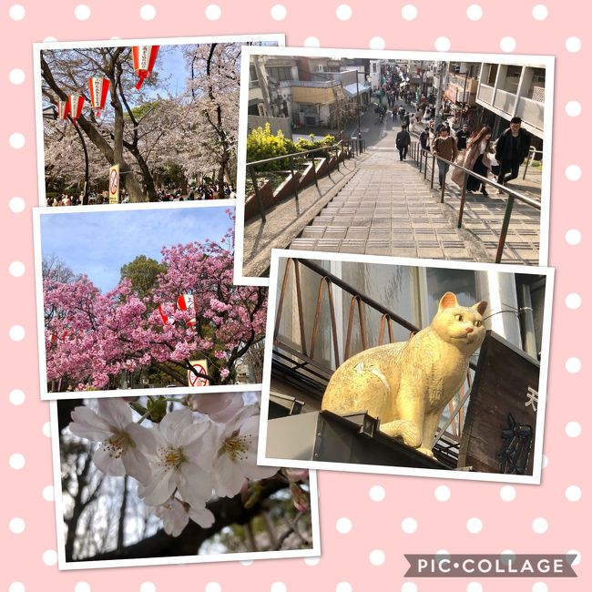 ぶらり東京その②　上野公園ので桜を見てから谷中銀座をぶらりする。