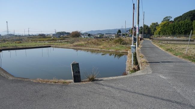 　義姉の墓参りに大和郡山へ。愚妻の一番近い、親しい付き合いのあった姉でしたが、一番早くあの世へ召されてしまいました。お墓は大和郡山城の南外れ「新木山古墳」という参考陵の脇にあります。今は一面の金魚畑、かつては田圃に囲まれた前記古墳の陪塚を周辺の人々の墓地にしていたように見られます。