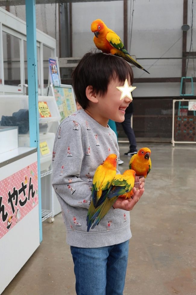 入院中に外出許可をもらって１泊２日で浜名湖へ（車いすで）<br />次女のお誕生日だったので、次女とお婿さんは会社帰りに合流<br />楽しい鉄板焼きでお祝いしました