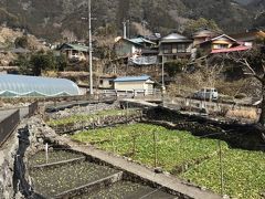 温泉とジビエと山葵のオクシズ1泊2日