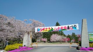 京都から群馬まで桜を追う18きっぷ旅(その2)