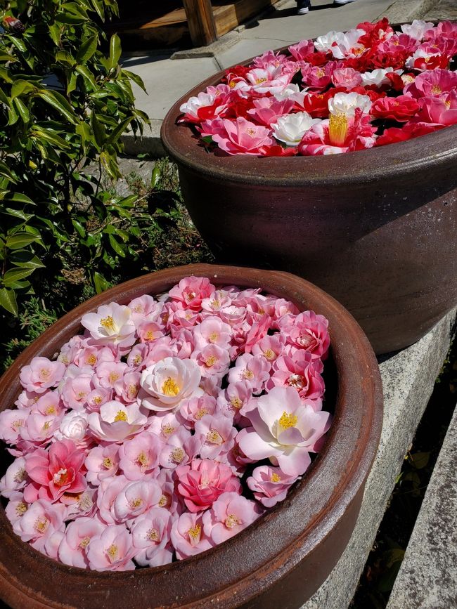 水堂須佐男神社 みずどうすさのおじんじゃ の 花手水 と 花天井 尼崎 兵庫県 の旅行記 ブログ By Yokoさん フォートラベル 水堂須佐男神社 みずどうすさのおじんじゃ の 花手水 と 花天井 尼崎 兵庫県 の旅行記 ブログ By Yokoさん フォートラベル