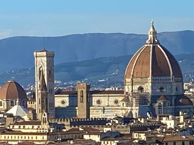 コロナ禍直前の2月中旬にイタリアツアーに参加してきました。出発時はまだイタリア全土で感染者数はわずか1名、楽しいツアーだったのですが…その後皆様ご存知の通り2月下旬に向かって爆発的な感染者数になってしまいました。<br /><br />4トラベルの皆様にも好きな国の現状に心を痛めている方、せっかくの旅行計画を中止や延期せざるを得ない方が大勢いらっしゃると思います。1日も早い収束と、また全ての人が楽しく安全な旅ができる日が来ることを切に祈ります。<br /><br /><br />イタリアは歴史とショッピングとグルメと本当に素晴らしく、街並も美しく人々もフレンドリーな何度でも訪れたい国でした!参加した格安ツアーは朝食と基本的な観光しかつかない、良く言えばフリータイムが多く自由度が高い物でした。<br /><br />ミラノ→ベネチア→フィレンツェ→ローマと移動する8日間の旅程。うちミラノ以外の3都市で長めのフリータイムがありました。<br /><br />フィレンツェでは13:00から18:00まで、および翌日8:45から12:30まで合計約9時間フリータイム。<br />スマホの地図を頼りに美しい芸術と文化の都を時間の限り歩き、教科書で見た絵画の本物を堪能し、あの世界最古の薬局も訪れ、駅ピアノにもチャレンジしてきました!