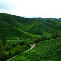 マレーシアの避暑地　キャメロンハイランド①全体 
