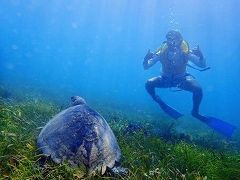 水中美術館スノーケル編！！