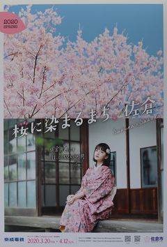 佐倉市散策 51 桜に染まるまち 佐倉 を訪ねます 佐倉 四街道 千葉県 の旅行記 ブログ By Yamajiさん フォートラベル 佐倉市散策 51 桜に染まるまち 佐倉 を訪ねます 佐倉 四街道 千葉県 の旅行記 ブログ By Yamajiさん フォートラベル