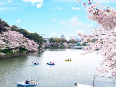 桜満開の千鳥ヶ淵★*ﾟ2016