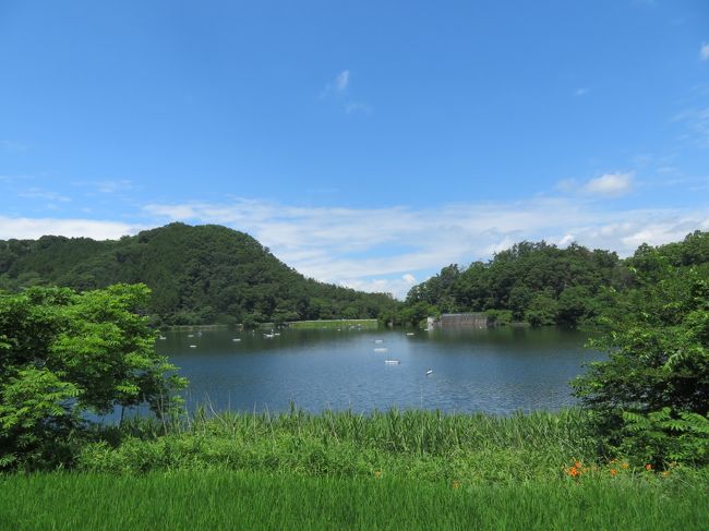 2019年7月10日（水）～11日（木）昇仙峡に行った後、荒川ダムに行ってみました。ダムを見ると色々思うことがありますが、ママと一緒に荒川ダムを見ることが出来て嬉しかったです。<br />山梨は自然がたくさんあって、空気が美味しくて、パワーチャージが出来てとても良いです。<br /><br />昇仙峡には何度も足を運んでいるはずなのに･･･ロープウェイの記憶が全くなく･･･ママの足の調子が良ければ登りたかったのですが、今回はPass♪<br /><br />前回も陶芸をやったのですが、今回も菱工房 陶芸教室へお邪魔して、大きなお皿を私は2枚、ママは超大皿を1枚造りました。