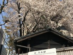 都内桜最前線情報・東京メトロ千代田線で各駅停車の花見ツアー編