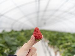 食と体験盛り沢山の旅in栃木【後半】