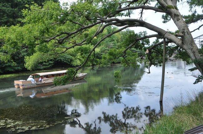 　松江城見学を終えた後、松江城周辺を中心とした市内巡りをした。予定の行程は、松江城天守閣→小泉八雲記念館→武家屋敷→松江ごころ→塩見縄手→松江歴史館と周り、余裕があれば島根県立美術館に行き、最後は槙戸天狗堂に行って、ホテルに向かうという計画だ。<br />　ところが当日は想定外の暑さのため、松江城天守閣を出て小泉八雲記念化館に行くまでの約２０～３０分でグッタリしてしまい、八雲記念館で過ごした時間は休憩時間となった。今まで旅行中、休憩のための休憩はあまりないが、数年前の長州旅行最終日以来、松江ごころでもタップリ休憩した。<br />　休憩後、計画では塩見縄手をのんびり散策しながら松江歴史館に行く予定だったが、猛暑の中を歩く気は失せてしまった。結局バスで回れるコースに変更して、松江ごころからバスに乗って月照寺に行って少し見学して、島根県立美術館見学終了後は松江駅に向かった。<br />　真夏の旅行は過酷だということが骨身に沁みた。<br /><br /><br /><br />