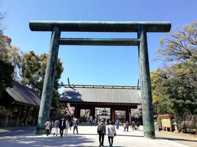 ~*＊・2020年3月14日　東京の桜の開花宣言・＊*~<br /><br />3月25日(水)<br />靖国神社の標本木とされる桜が満開らしい。<br />コロナ騒ぎで引きこもり生活のせい？<br />お菓子の食べすぎ、太り過ぎ(^.^;ﾊﾊ<br />運動不足・ストレス解消しようと、友人と二人で散歩がてらお花見。<br /><br />目的地は靖国神社、それ以外は無計画のまま、通勤ラッシュに合わない時間帯に行って帰って来ようって。<br />9:40友人と東横線横浜駅ホームで待ち合わせ。<br />そして、渋谷乗換えで半蔵門線九段下で下車。<br />階段上って外に出たら、道路の向こうに靖国神社の大鳥居。