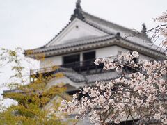 20200326-1 松山 花曇りの松山城公園で、陽光とか大島桜とか。染井吉野も少し咲き始め。