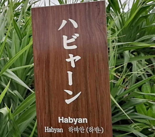 那覇ビーチサイドホテル<br />↓<br />折りたたみ自転車でガンバル<br />↓<br />安座真港<br />↓<br />久高島<br />↓<br />島内観光<br />↓<br />安座真港<br />↓<br />ジョージレストラン<br />↓<br />ホテル