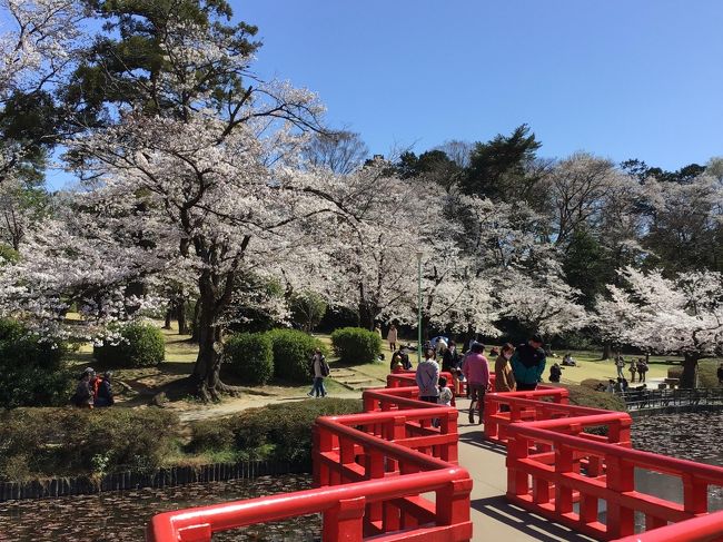 さて、昼食の後の街歩きです。 岩槻駅から岩槻城址公園に向け<br />歩きます。 その後、岩槻城主に関係の深い寺社を巡りながら<br />岩槻駅に戻ってきます。