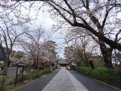 三軒茶屋駅から下高井戸駅迄、世田谷線沿いを散策 世田谷 2020/03/27