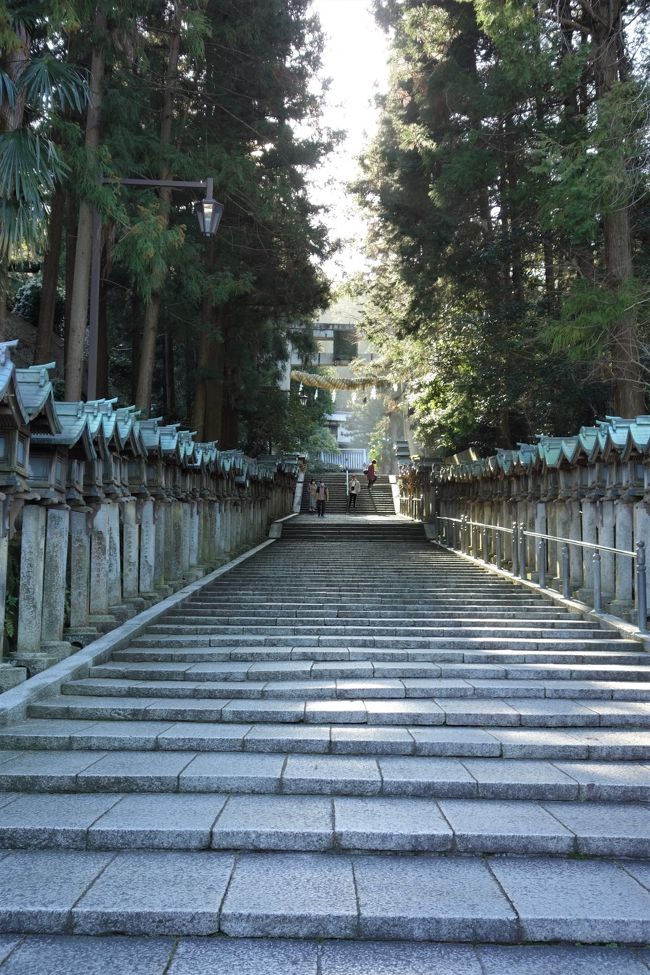 上の孫が高校を卒業したので、お祝いを兼ねて顔を見に行きました。｢おぅ、久しぶり！｣と言ったら、ハイタッチしてくれました。<br />2つ違いの下の孫は急に背が伸びて、上に追い付きました。2人ともアッサリ息子の身長を超えてます。<br />3世代でのイタ飯食べ放題のディナーはPHOが一番食べました。<br />｢青春18きっぷ｣のシーズン中ではありますが、始発で出ても10時間以上かかってしまうので、名古屋までは｢ぷらっとこだま｣、名古屋からは近鉄を乗り継ぎ、午後イチ到着の7時間に短縮。1時間あたり約3000円で買った計算でしたが、過ごした時間はプライスレスでした☆<br /><br />で、肝心の旅行記の方は、鉄塔巡りの様相を呈してきた生駒山上遊園地から、ケーブルカーで下山途中に宝山寺に立ち寄り、PHOの旅のお約束とも言える階段上りをする訳です。好んで上ってるのでは決して無い事を改めて此処でお知らせしておきます。<br />と言うか、宝山寺と言う存在自体、此処へ来るまで知らなかったのです。<br />ところが、日本三大聖天と称される歓喜天を祀る寺院はPHOの地元台東区に在る本龍院(通称 待乳山聖天)、この宝山寺(通称 生駒聖天)の二山と、もう一山(不確定)なのだそうで、ちょっと特別な気分<br /><br /><br /><br />